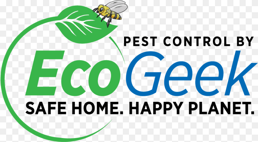 909x502 Eco Geek Pest Control, Green, Animal, Bee, Honey Bee PNG