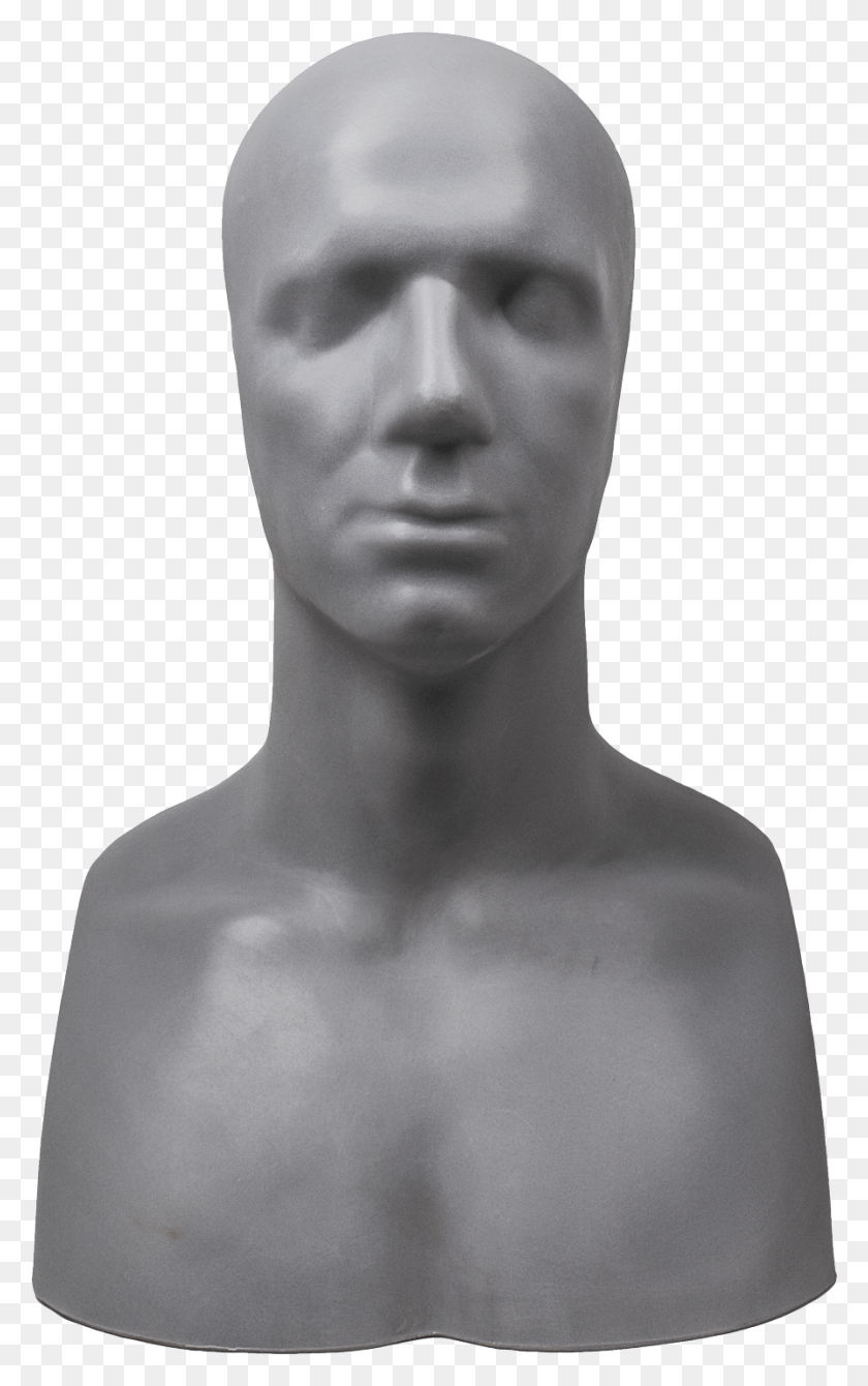 895x1469 Ed Head Armature Bust, Mannequin, Person, Human HD PNG Download