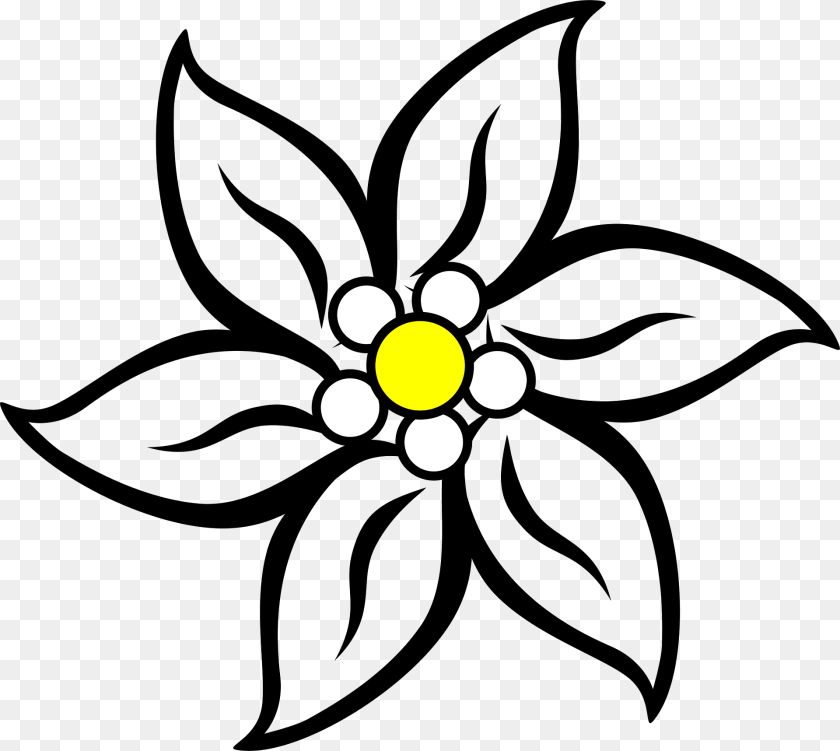 1920x1716 Edelweiss Clipart, Anemone, Art, Daisy, Floral Design Sticker PNG