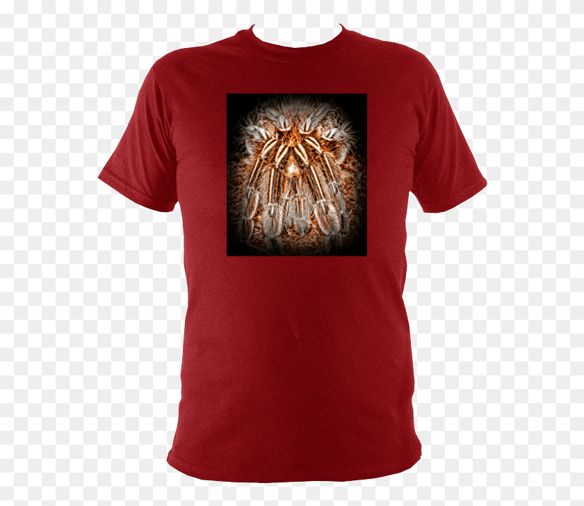566x668 Edinburgh T Shirt Only Difference Is Your Perception, Clothing, Apparel, T-shirt HD PNG Download