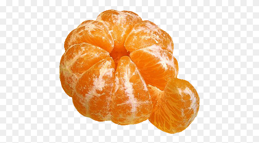 455x403 Edit Freetoedit Tumblr Overlay Mandarina Pakistani Orange, Citrus Fruit, Fruit, Plant HD PNG Download