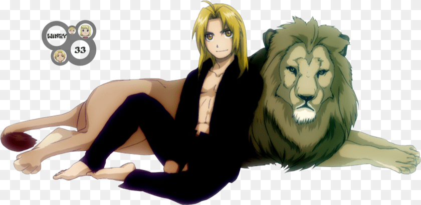 1526x744 Edward Elric, Adult, Person, Woman, Female Transparent PNG