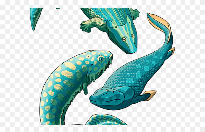 601x481 Eel Clipart Realistic Swamp Dragon Amphibian Prionosuchus, Animal, Fish, Sea Life HD PNG Download