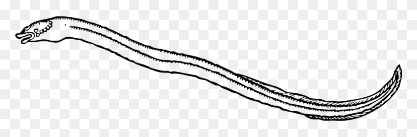 961x267 Eel Outline, Gray, World Of Warcraft HD PNG Download