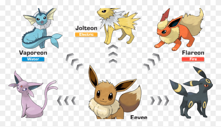 883x478 Eevee Evolution В Pokemon Go, Животное, Млекопитающее, Дикая Природа Png Скачать