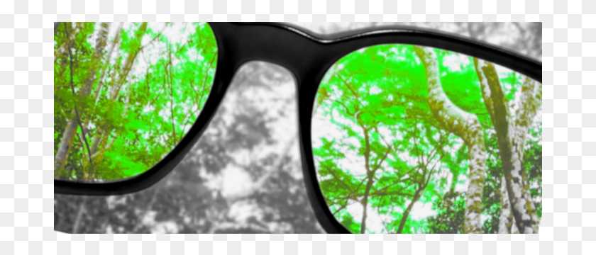 689x300 Effect Of Colorblind Glasses Stained Glass, Accessories, Accessory, Sunglasses Descargar Hd Png