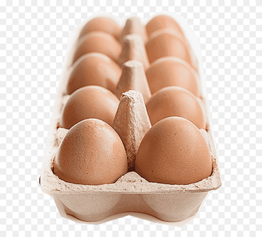 588x700 Egg Carton Brassiere, Food, Birthday Cake, Cake HD PNG Download