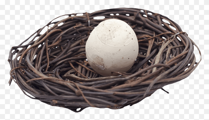 1371x746 Egg Nest, Food, Bird Nest HD PNG Download