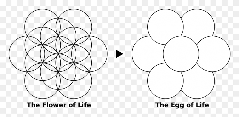 1223x553 Egg Of Life Meaning Flower Of Life Symbol, Lamp, Face, White HD PNG Download