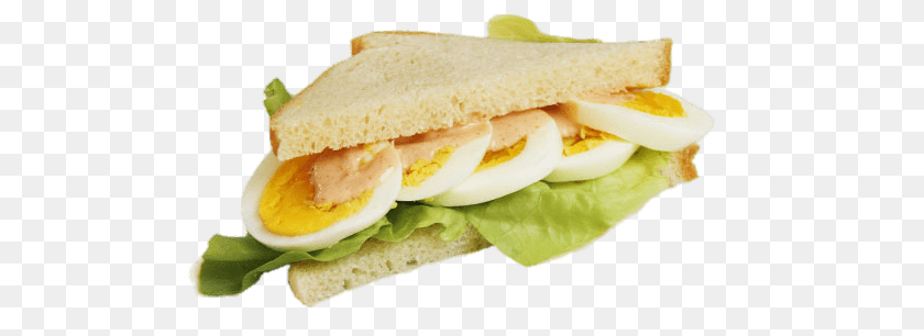 Egg Sandwich, Burger, Food, Lunch, Meal PNG