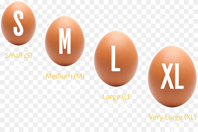 862x576 Egg Sizes Egg Sizes Uk, Food, Text Clipart PNG