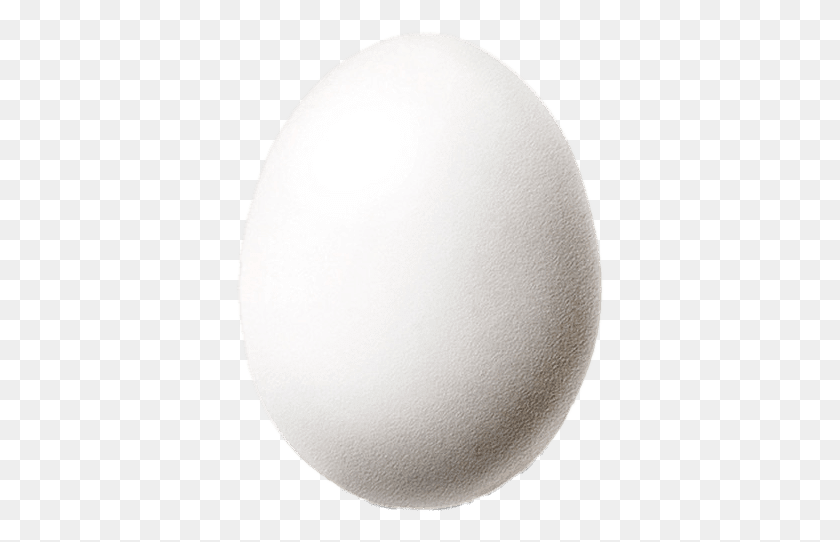 369x482 Egg White Egg Enceladus Moon, Food, Balloon, Ball HD PNG Download