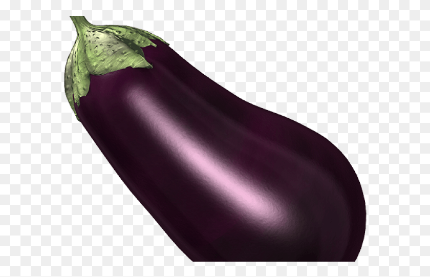 594x481 Eggplant, Plant, Vegetable, Food HD PNG Download