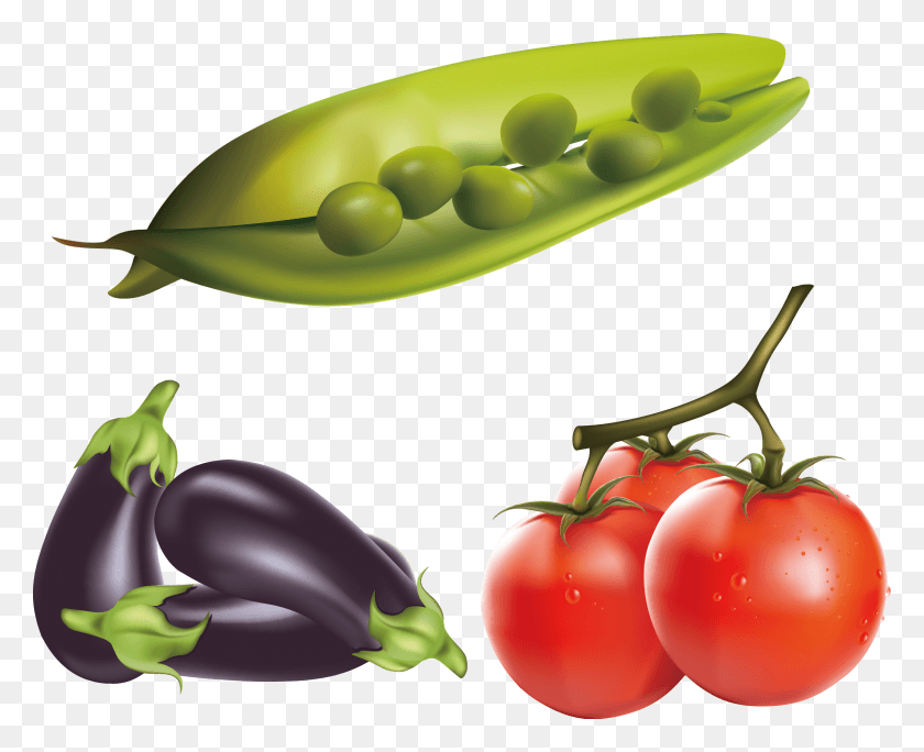 2272x1818 Eggplant Tomato Clip Art Realistic Renderings Realistic Vector Set Of Fruits And Vegetables, Plant, Vegetable, Food HD PNG Download