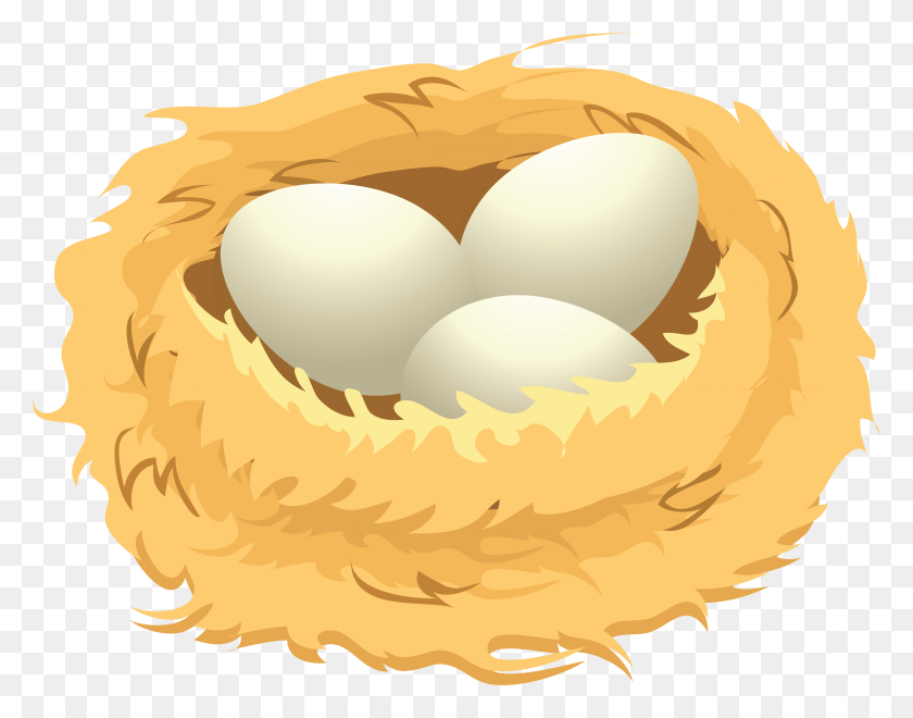 4378x3372 Eggs In A Nest Clip Art Bird Nest Clip Art, Plant, Food, Produce HD PNG Download