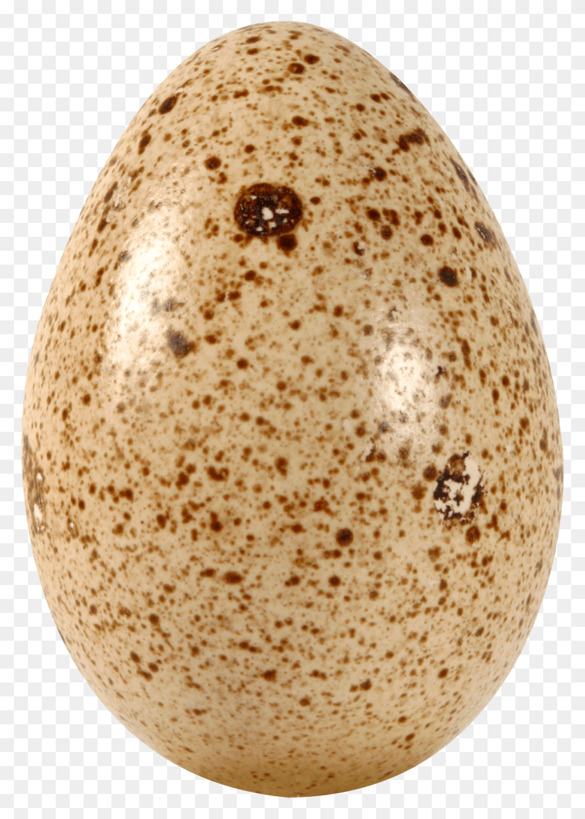 1343x1923 Eggs Picture Quail Egg Transparent Background, Bread, Food, Skin HD PNG Download