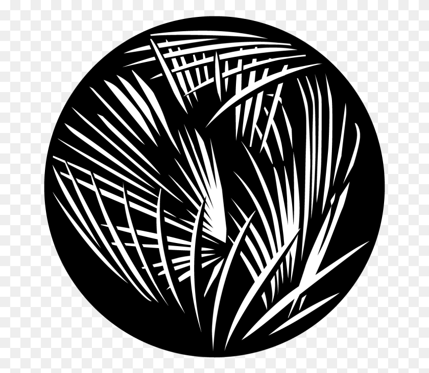 669x669 Egyptian Palms Circle, Plant, Tree, Graphics HD PNG Download