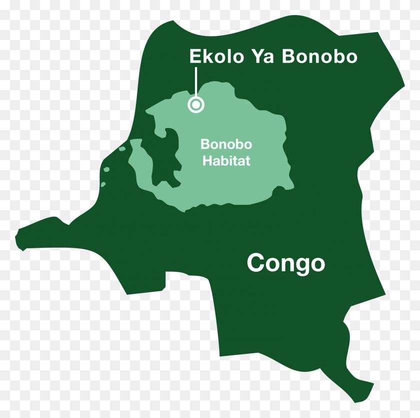 1493x1484 Ekolo Map Map Of Where Bonobos Live, Plot, Diagram, Land Descargar Hd Png