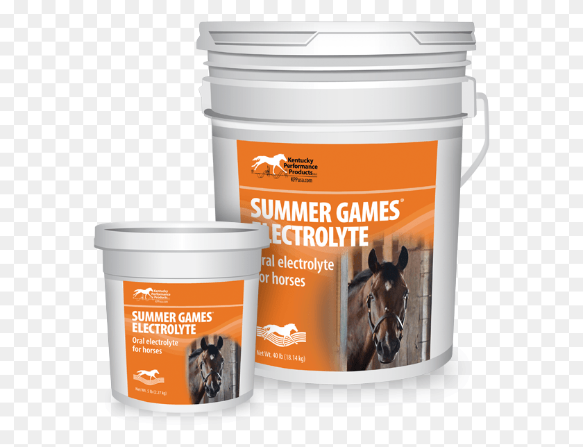 571x584 Electrolyte Products, Bucket, Horse, Mammal HD PNG Download