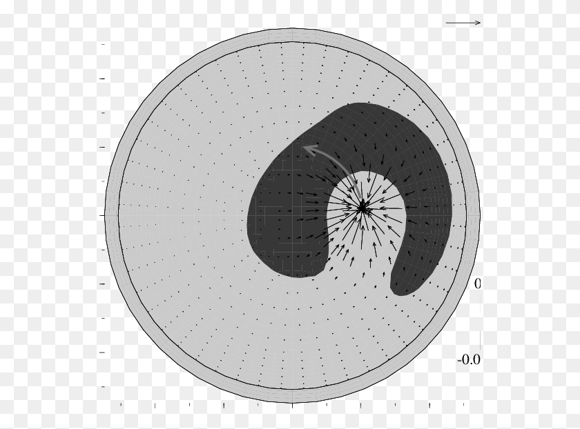 552x562 Electromagnetic Pinching Force Vectors And Corresponding Circle, Rug, Plant, Photography HD PNG Download