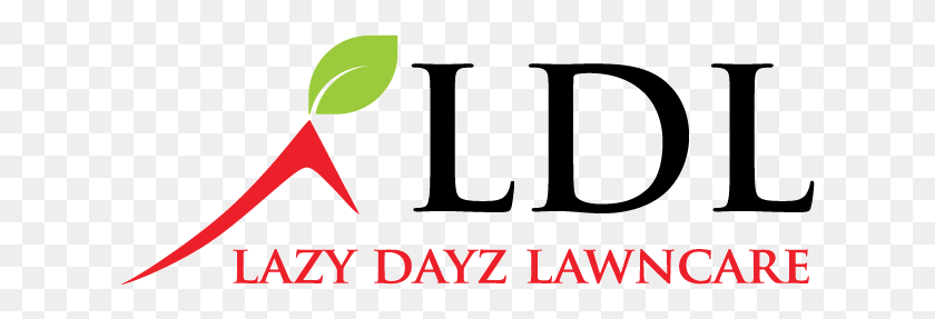 625x227 Elegant Playful Logo Design For Lazy Dayz Lawncare Parallel, Text, Alphabet, Symbol HD PNG Download