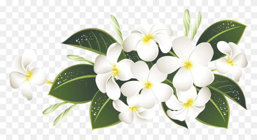 1024x523 Elegant White Bouquet Transparent About Green Leaves Flores Blancas, Plant, Petal, Flower HD PNG Download