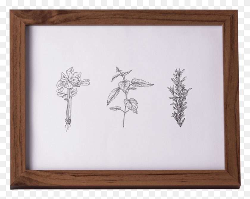 841x656 Element Herb Associations Picture Frame, Canvas HD PNG Download