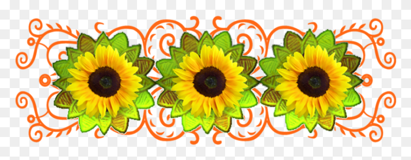 834x286 Element Sunflower, Graphics, Floral Design HD PNG Download