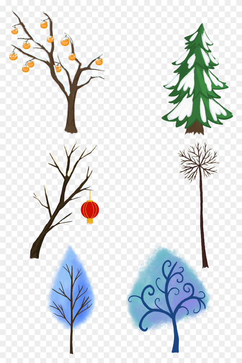 1190x1827 Elementos Decorativos Frescos Plantas Desenhadas A Illustration, Graphics, Tree HD PNG Download