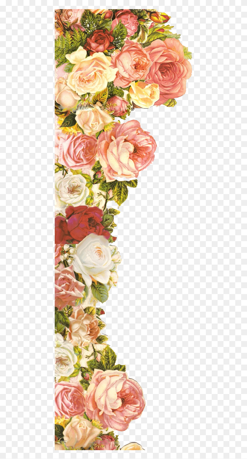 469x1501 Elementos Florais Clip Art, Graphics, Floral Design HD PNG Download