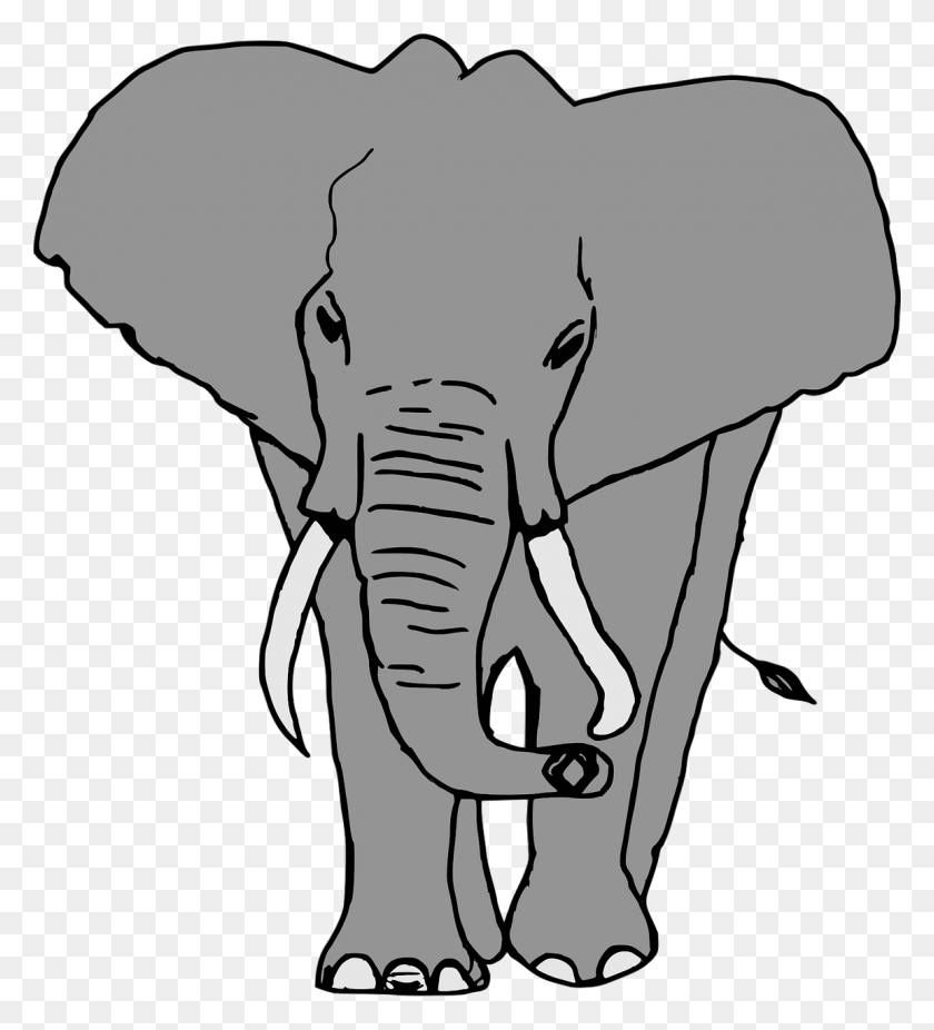 1152x1280 Elephant Animal Safari Africa Image Elefante .png, Wildlife, Mammal HD PNG Download