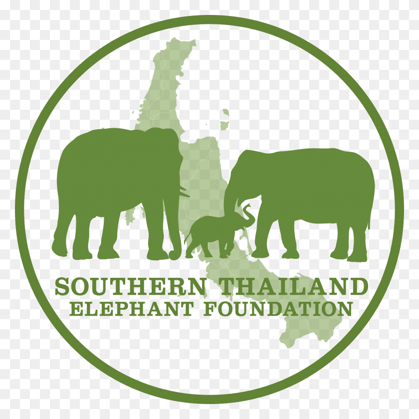3496x3496 Elephant Charity, Logo, Symbol, Label HD PNG Download