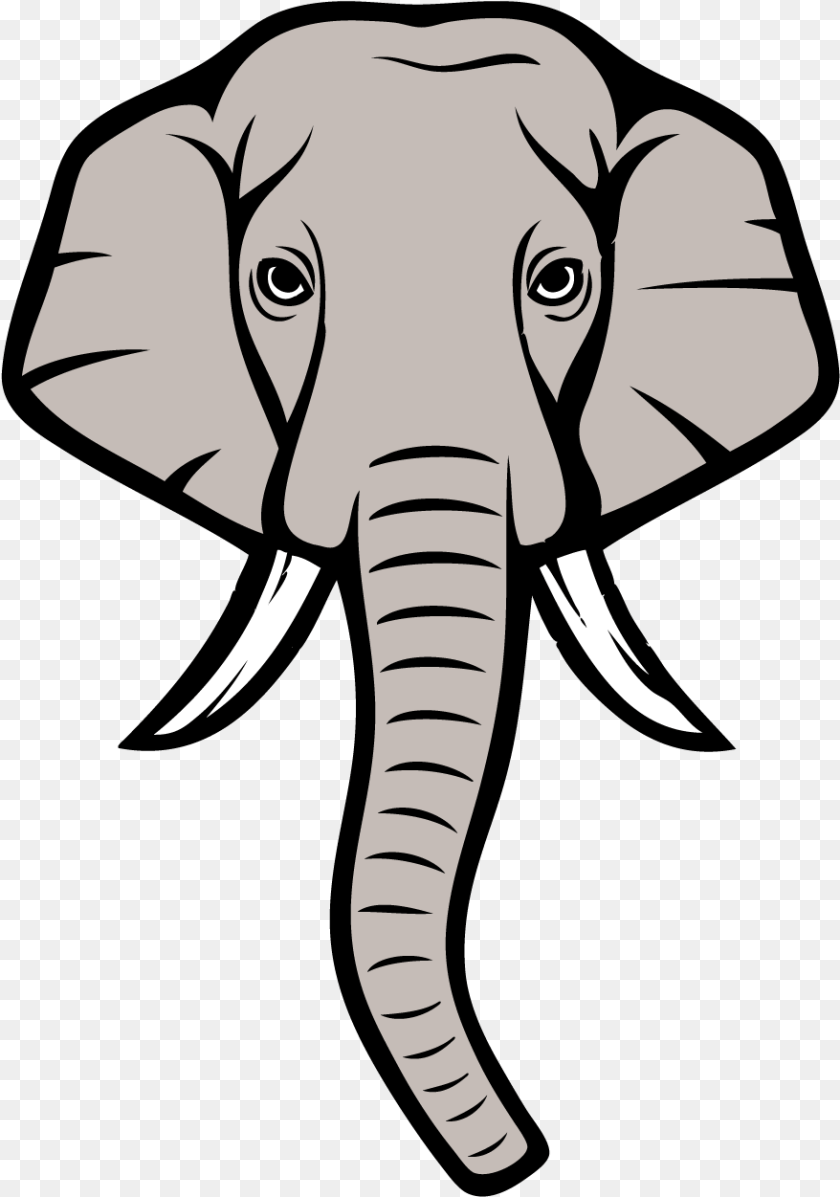 878x1251 Elephant Head Asian Elephant Face Drawing, Baby, Person, Animal, Wildlife Transparent PNG