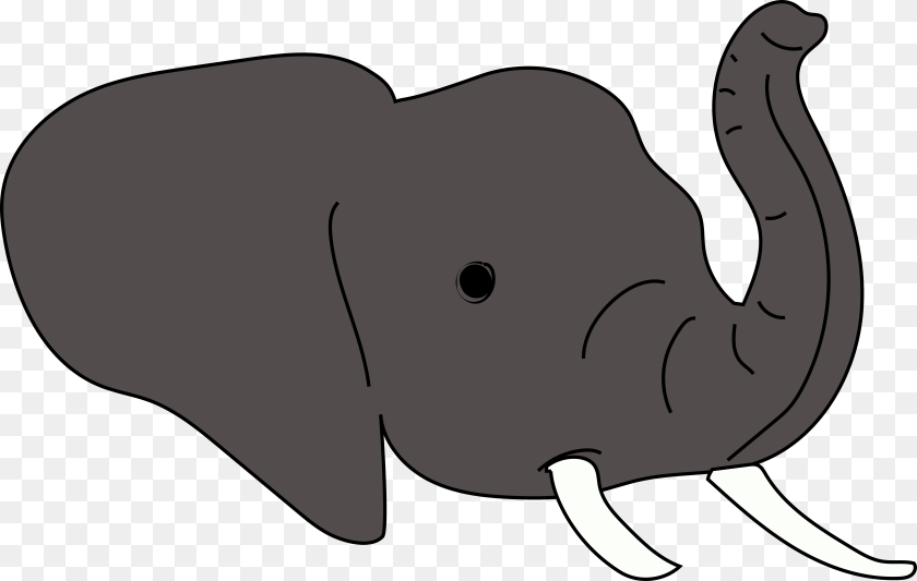 6612x4192 Elephant Head Draft, Animal, Mammal, Wildlife, Fish Transparent PNG