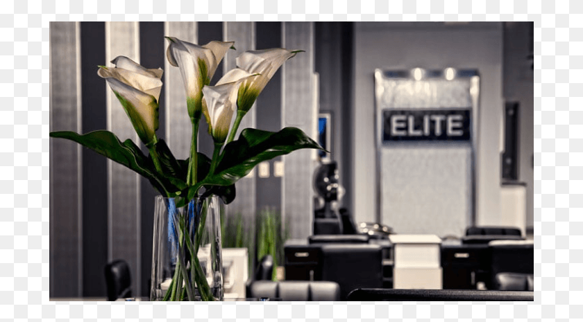 699x405 Elite Salon Amp Spa Bouquet, Planta, Flor, Flor Hd Png