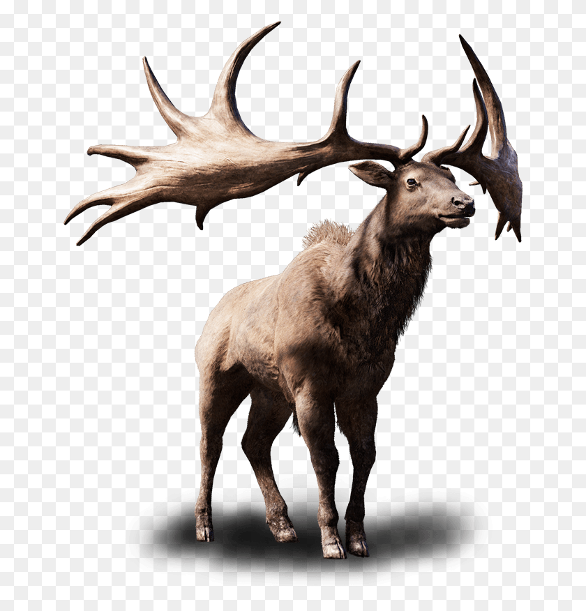 658x816 Elk, Deer, Wildlife, Mammal HD PNG Download