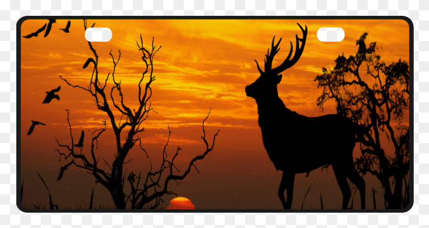 801x397 Elk, Deer, Wildlife, Mammal HD PNG Download