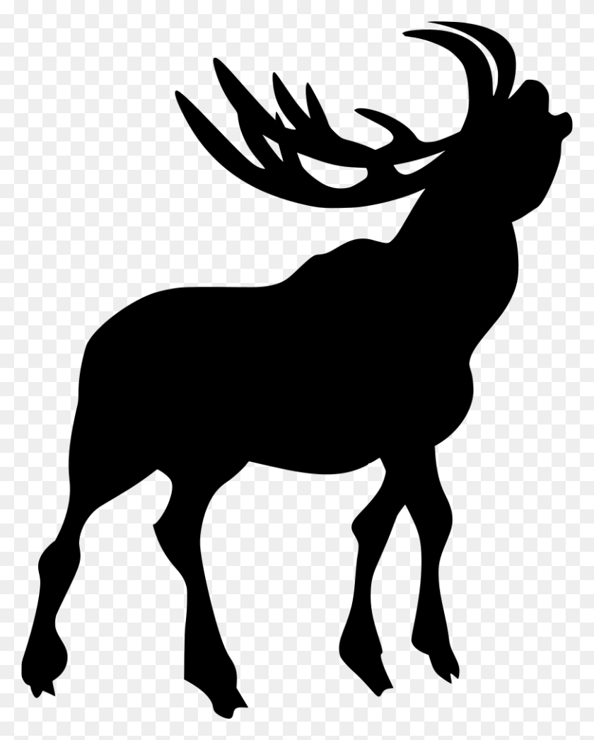 810x1024 Elk, Gray, World Of Warcraft HD PNG Download