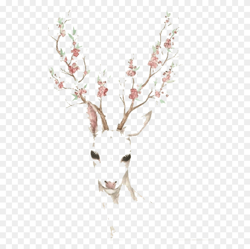 603x776 Elk Blossom Cherry Deer Watercolor Paper Antler Clipart Venado Fondo De Pantalla Mandala, Plant, Flower, Stencil HD PNG Download