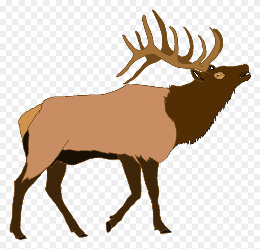 1006x957 Elk Ciervo Ilustración Vector Graphics Moose Elk Clipart, La Vida Silvestre, Animal, Mamífero Hd Png Descargar