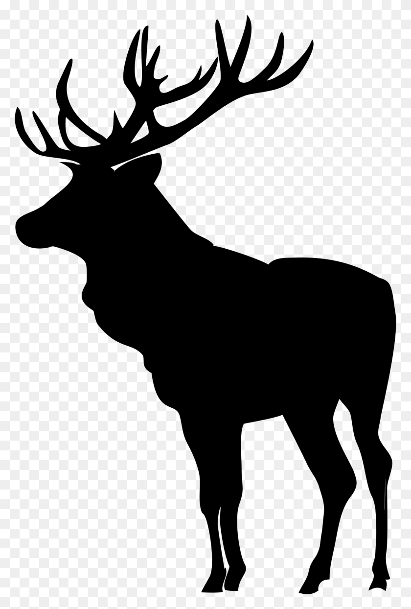 1299x1973 Elk Images Elk Silhouette Scroll Saw Patterns Free Black And White Moose Clipart, Mammal, Animal HD PNG Download