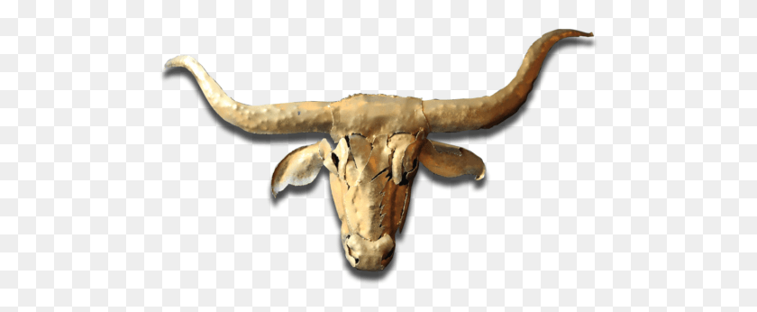 488x286 Ellicottville Bull, Animal, Fungus, Mammal HD PNG Download