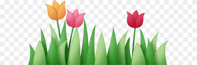 Elment Scrap Flower, Plant, Tulip, Petal Transparent PNG