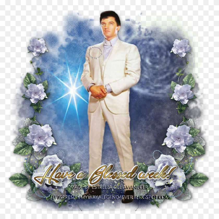 800x800 Elvis Presley Signature, Clothing, Person, Plant HD PNG Download