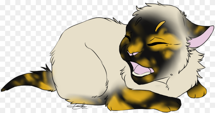 890x466 Embers Clipart Smoking Cat Yawns, Baby, Person, Animal, Lion Transparent PNG
