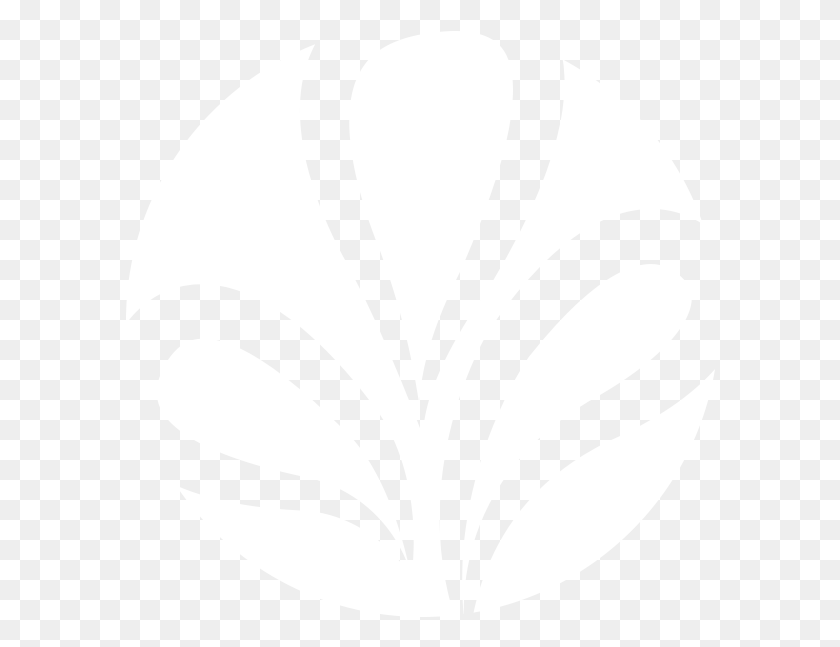 590x587 Emblem, Plant, Stencil, Food HD PNG Download