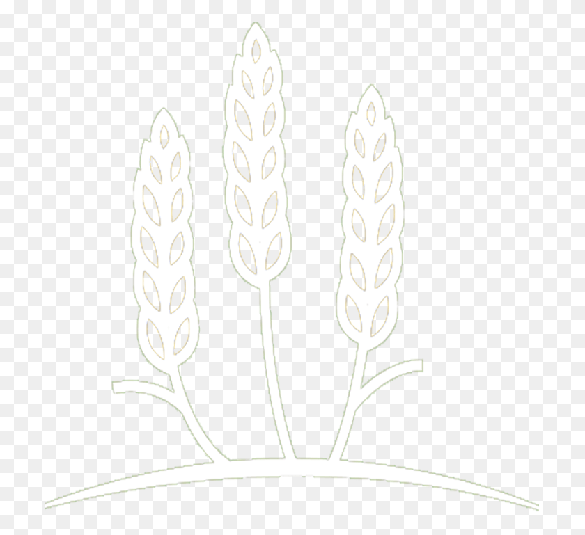 709x709 Эмблема Натюрморт Фотография, Трава, Растение, Лужайка Hd Png Скачать