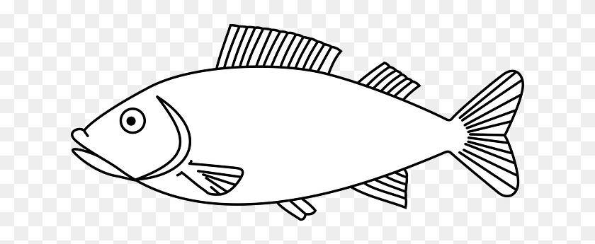 641x285 Embroidery Drawing Fish Outline Of A Fish, Animal, Sea Life, Halibut HD PNG Download