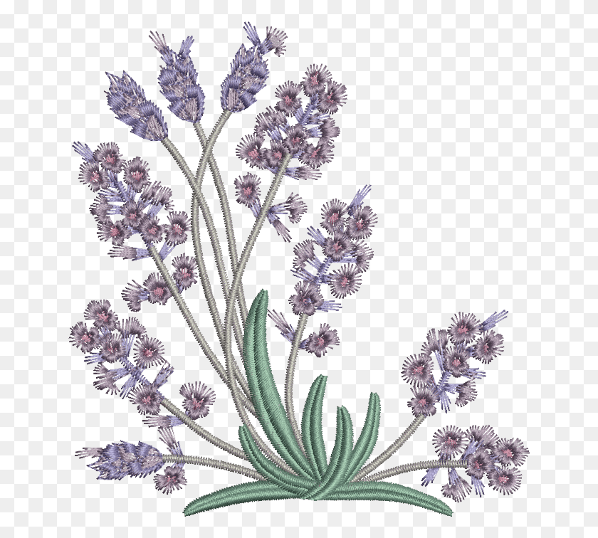 648x696 Embroidery Pattern Lavender Flowers Lavender Machine Free Embroidery Designs, Plant, Potted Plant, Vase HD PNG Download