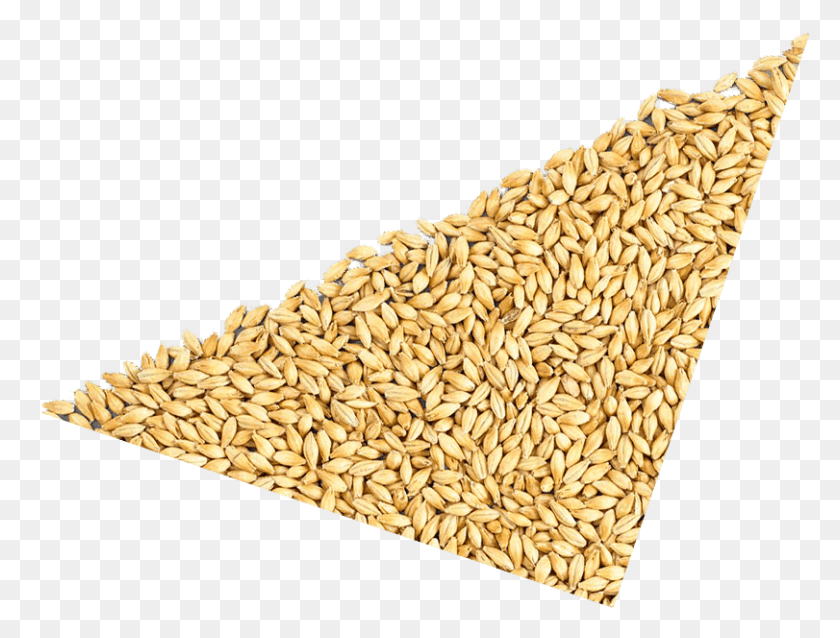 811x602 Emmer, Plant, Wheat, Vegetable HD PNG Download